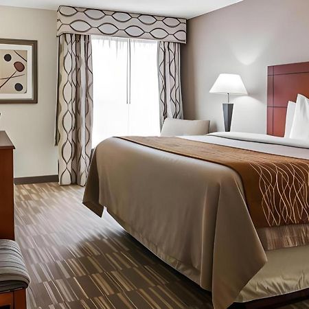 Comfort Inn & Suites University South Ann Arbor Dış mekan fotoğraf