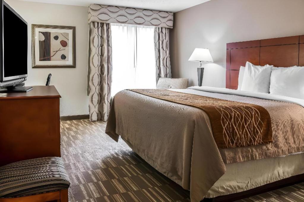 Comfort Inn & Suites University South Ann Arbor Dış mekan fotoğraf