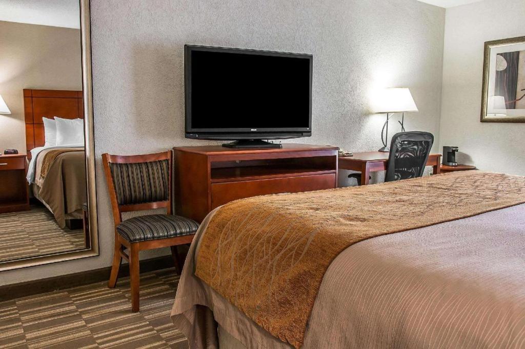 Comfort Inn & Suites University South Ann Arbor Dış mekan fotoğraf