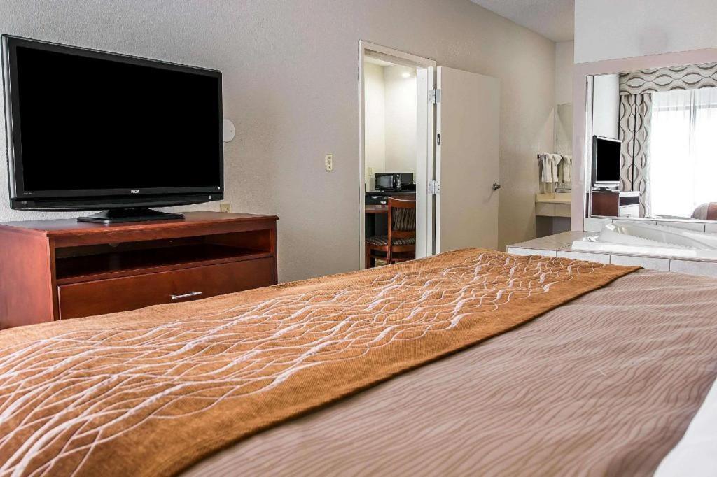 Comfort Inn & Suites University South Ann Arbor Dış mekan fotoğraf