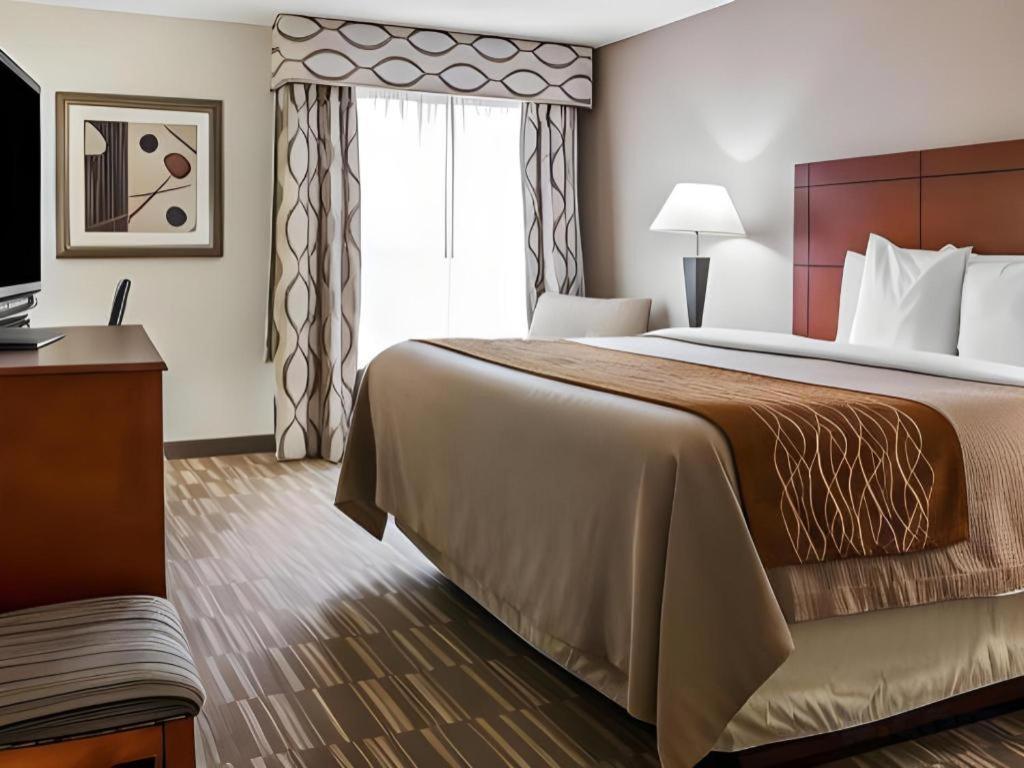 Comfort Inn & Suites University South Ann Arbor Dış mekan fotoğraf