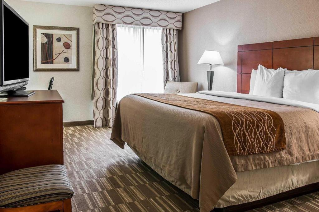 Comfort Inn & Suites University South Ann Arbor Dış mekan fotoğraf