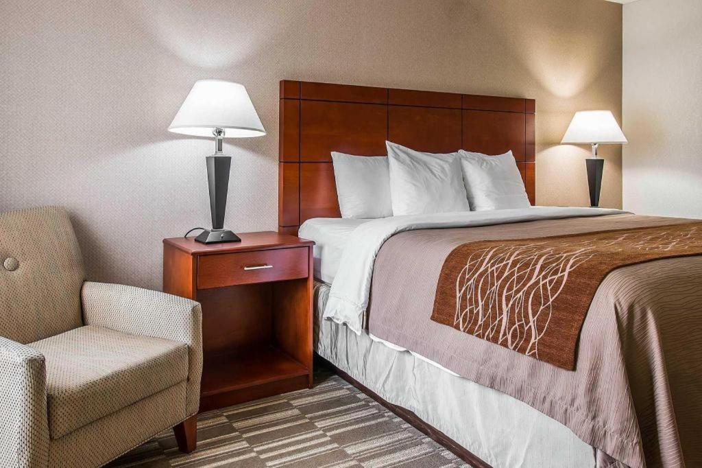 Comfort Inn & Suites University South Ann Arbor Dış mekan fotoğraf