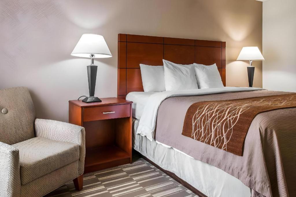 Comfort Inn & Suites University South Ann Arbor Dış mekan fotoğraf