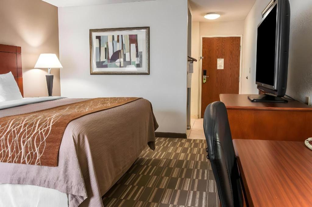 Comfort Inn & Suites University South Ann Arbor Dış mekan fotoğraf