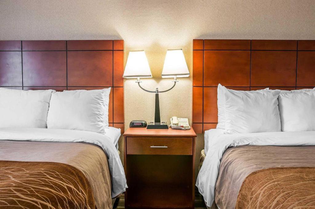Comfort Inn & Suites University South Ann Arbor Dış mekan fotoğraf