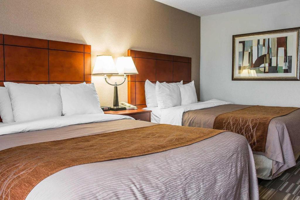 Comfort Inn & Suites University South Ann Arbor Dış mekan fotoğraf