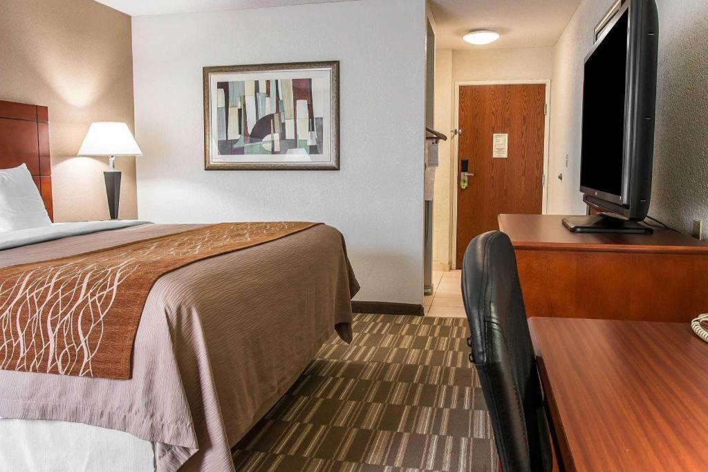 Comfort Inn & Suites University South Ann Arbor Dış mekan fotoğraf