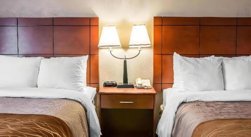 Comfort Inn & Suites University South Ann Arbor Dış mekan fotoğraf