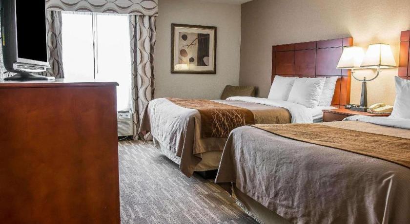 Comfort Inn & Suites University South Ann Arbor Dış mekan fotoğraf