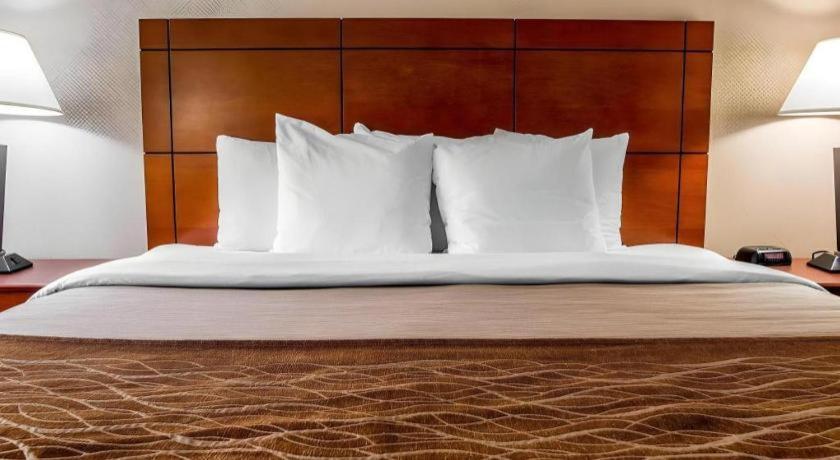 Comfort Inn & Suites University South Ann Arbor Dış mekan fotoğraf