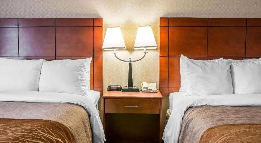 Comfort Inn & Suites University South Ann Arbor Dış mekan fotoğraf