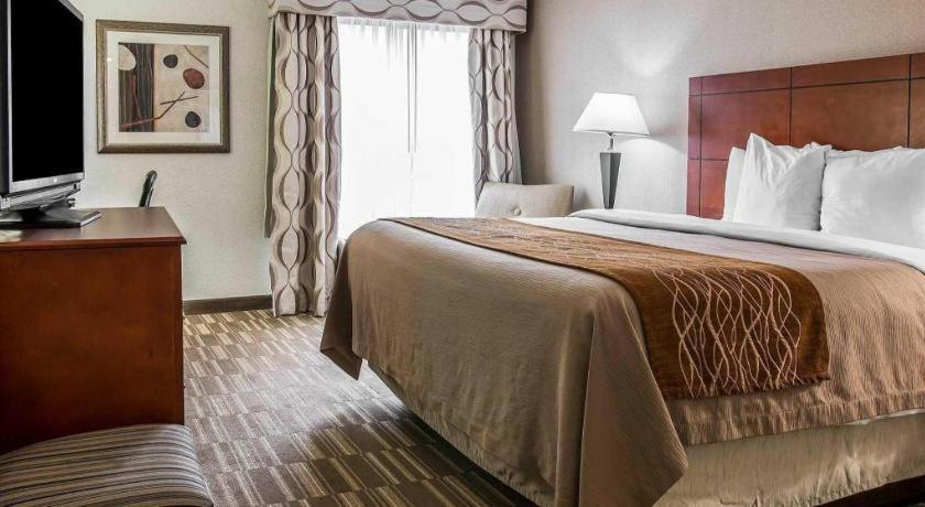 Comfort Inn & Suites University South Ann Arbor Dış mekan fotoğraf