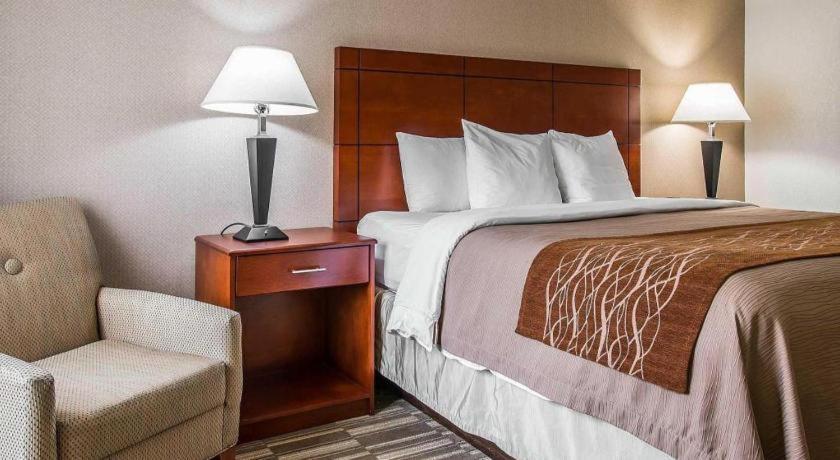 Comfort Inn & Suites University South Ann Arbor Dış mekan fotoğraf
