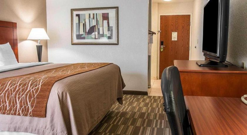 Comfort Inn & Suites University South Ann Arbor Dış mekan fotoğraf