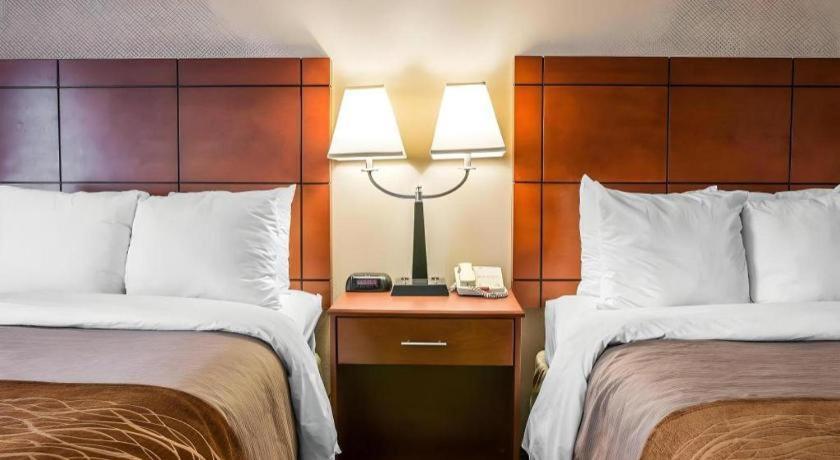 Comfort Inn & Suites University South Ann Arbor Dış mekan fotoğraf