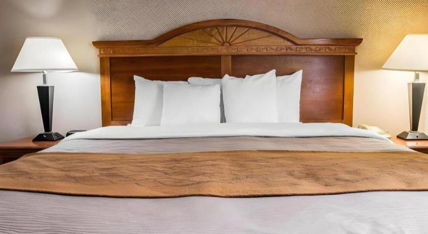 Comfort Inn & Suites University South Ann Arbor Dış mekan fotoğraf